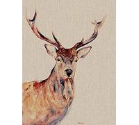 Jane Bannon Lienzo de Pared, Multicolor, 30 x 40 x 3,2 cm