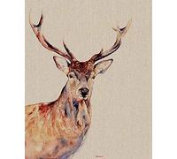 Jane Bannon Lienzo de Pared, Multicolor, 40 x 50 x 3,2 cm