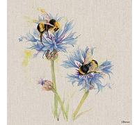 Jane Bannon WDC91687 - Lienzo impreso (30 x 30 cm), multicolor