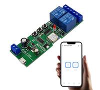 Jane Eyre Relé de interruptor inteligente inalámbrico de 2 canales para eWelink APP Control remoto interruptor de enganche momentáneo Compatible con Alexa Goolge Home