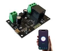 Jane Eyre WiFi Módulo de relé de interruptor inteligente inalámbrico DIY Smart Home Módulo de interruptor de autobloqueo instantáneo Compatible con la Tuya/Smart Life APP (1CH)