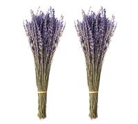 Jangostor 100g Manojos de Lavanda Seca, 43 cm Flores Secas Naturales para el Hogar, Sala de Estar, Boda, Fotografía, Fondo DIY y Artesanía