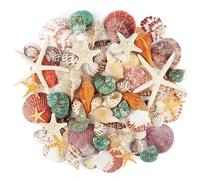 Jangostor Conchas Marinas Conchas Marinas Mixtas, 3 cm-9cm Conchas Marinas de Playa de Diversos tamaños y Estrellas de mar para Rellenos de jarrones Fiesta temática de la Playa decoración de Bodas