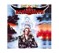 Janie's Got a Gun: Tribute to Aerosmith