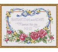 Janlynn Counted Cross Stitch Kit 10"X8"-Married This Day (14 Count) Punto de Cruz, Algodón, Multicolor, 10x0.5x8 Inches