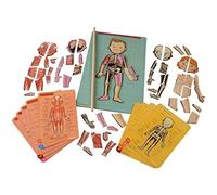 Janod Bodymagnet Juego Educativo del Cuerpo Humano - Anatomía, Órganos, Esqueleto, Músculos - 76 Piezas Magnéticas - Desde los 7 años, 12 Idiomas, J05491
