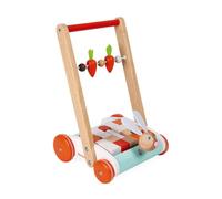 JANOD Madera Conejo Bloque Cart Empujar Walker 19 Piezas Nuevo en Caja 1+