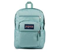 JanSport Mochila para laptop, bolsa para computadora con 2 compartimentos, correas ergonómicas para el hombro, funda para laptop de 15 pulgadas, asa de transporte, Salvia desteñida, Talla única,