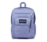 JanSport Mochila para portátil con 2 compartimentos, Ceniza lavanda, Talla única, Mochila para laptop, bolsa para computadora con 2 compartimentos