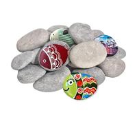 JAONLD Piedras para Pintar 20 Piezas Piedra Decorativas Piedras Jardin Juegos de Manualidades Niños Decoracion Jardin Exterior Piedra para Macetas,para Kits de Bricolaje Adultos y Niños