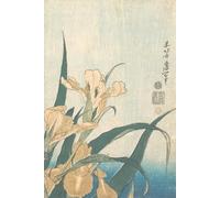 Japanese Art Notebook ノート: Hokusai Notebook - Grasshopper and Iris | Japanese Art Journal, Elegant Writing Notebook, Stationery Gift from The Letter Lab