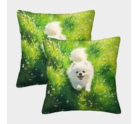 Japanese Spitz Fundas De Almohada De Suave Terciopelo Paquete De 2 para，Cremallera Invisible，Funda de Almohada Fundas De Almohada para Cojines Decorativos para Sofá Cama Coche Hogar 45x45cm
