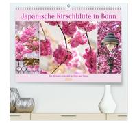 Japanische Kirschblüte in Bonn (hochwertiger Premium Wandkalender 2026 DIN A2 quer), Kunstdruck in Hochglanz: Die Altstadt erstrahlt in Pink und Rosa