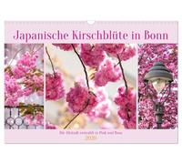 Japanische Kirschblüte in Bonn (Wandkalender 2026 DIN A3 quer), CALVENDO Monatskalender: Die Altstadt erstrahlt in Pink und Rosa