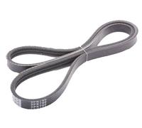 Japanparts DV-3PK0790 Correa trapecial poli V