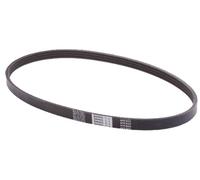 Japanparts DV-4PK0805 Correa trapecial poli V