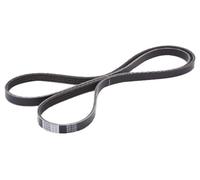 Japanparts DV-4PK1540 Correa trapecial poli V