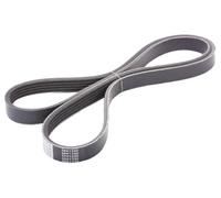 Japanparts DV-5PK1250 Correa trapecial poli V