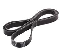 Japanparts DV-5PK1590 Correa trapecial poli V