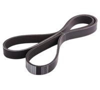 Japanparts DV-6PK1130 Correa trapecial poli V