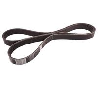 Japanparts DV-6PK1445 Correa trapecial poli V