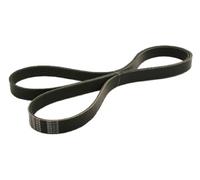 Japanparts DV-6PK1710 Correa trapecial poli V