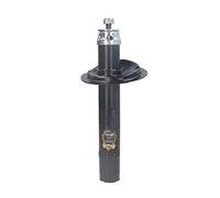 JAPANPARTS MM-00149 Amortiguador Delantero, derecha Presión de aceite Compatible con CITROËN ZX N2