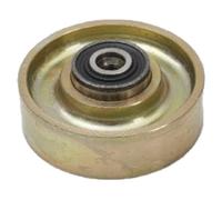 Japanparts RP-002 Polea inversión/guía, correa poli V