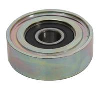 Japanparts RP-919 - Polea inversión/guía, correa poli V