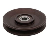 Japanparts RP-927 Polea inversión/guía, correa poli V