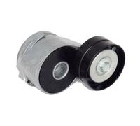 JAPANPARTS Tensor de correa, correa poli V para CHRYSLER: Grand Voyager, Voyager & JEEP: Cherokee & DODGE: Nitro (Ref: TS-910)