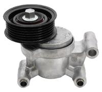 JAPANPARTS TS-307 Brazo tensor, correa poli V