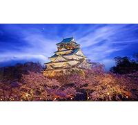 Japón Osaka Himeji Castle Cherry Blossoms Lights Night Diy 5D Diamond Painting By Number Kits Únicos Decoración De La Pared Del Hogar Crystal Rhinestone Wall Decor