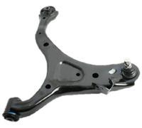 Japón Parts BS de h25r brazo de suspensión