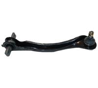 Japón Parts CJ de 404R brazo de suspensión