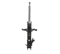 Japón Parts mm de 10031 - Amortiguador