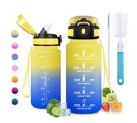JAPORIA Cantimplora 500ml, Botella Agua con Pajita, Botella de Agua con Marca de Tiempo, Reutilizable, sin BPA, Motivacional, para Oficina, Escuela y Senderismo