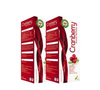 Jarabe de arándano CHI 2x250ml