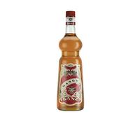 Jarabe Mango Sanz 1L