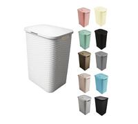 JARDIN202 - Cesto Ropa Sucia Pongotodo con Tapa y Asas | Cesta Colada Plástico Ratán | Cubo Ropa Sucia | Baño Dormitorio | 38L/48L/60L | 60 litros (Celeste)