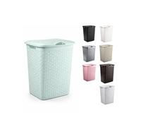JARDIN202 - Cesto Ropa Sucia Pongotodo con Tapa y Asas | Cesta Colada Plástico Ratán | Cubo Ropa Sucia | Baño Dormitorio | 38L/48L/60L | 38 Litros (Verde agua)