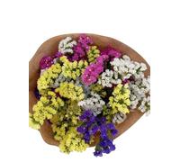 JARDIN202 - Ramo Natural SiempreViva | 10 tallos | Hojas Naturales de SiempreViva para Decoración - Entregas en 24 Horas | 10 Tallos -