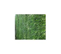 JARDIN202 - Seto Artificial - 30 Varillas | 2x3m -