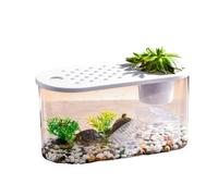 Jardinera acuapónica transparente con diseño de peces, tortugas, ecológicas, para decoración de mesa de acuarios