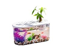 Jardinera acuapónica transparente con diseño de peces, tortugas, ecológicas, para decoración de mesa de acuarios