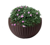 Jardinera De Flores para Colgar En La Pared Semicircular Tipo Ratán, Maceta Interior para Plantas, Maceta Exterior para Agua, 21 * 16,5cm, con 2 X Ganchos, 2 X Tornillos, 2 X Juegos De Tornillos