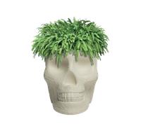 JARDINERA MEXICO Y ENFRIADOR CHAMPAGNE 70007 QEEBOO