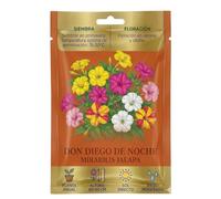 Jardinería Decorativa con Don Diego | Semillas para Macetas, Balcones y Jardín - DECOALIVE
