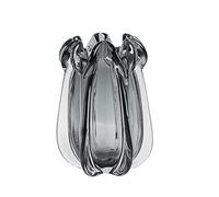 Jarrón, Boda, Estante Creatividad nórdica jarrón de Vidrio en casa Transparente jarrones hidropónico decoración la Sala Estar Adornos Mesa hidroponique Centro de Mesa Moderno(16.5 * 32cm)