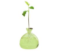 Jarrón de aguacate de cristal, jarrón transparente para plantas, jarrón hidropónico, jarrón de jarrón, jarrón, jarrón, aguacate, macetero, transparente, para los amantes del jardín